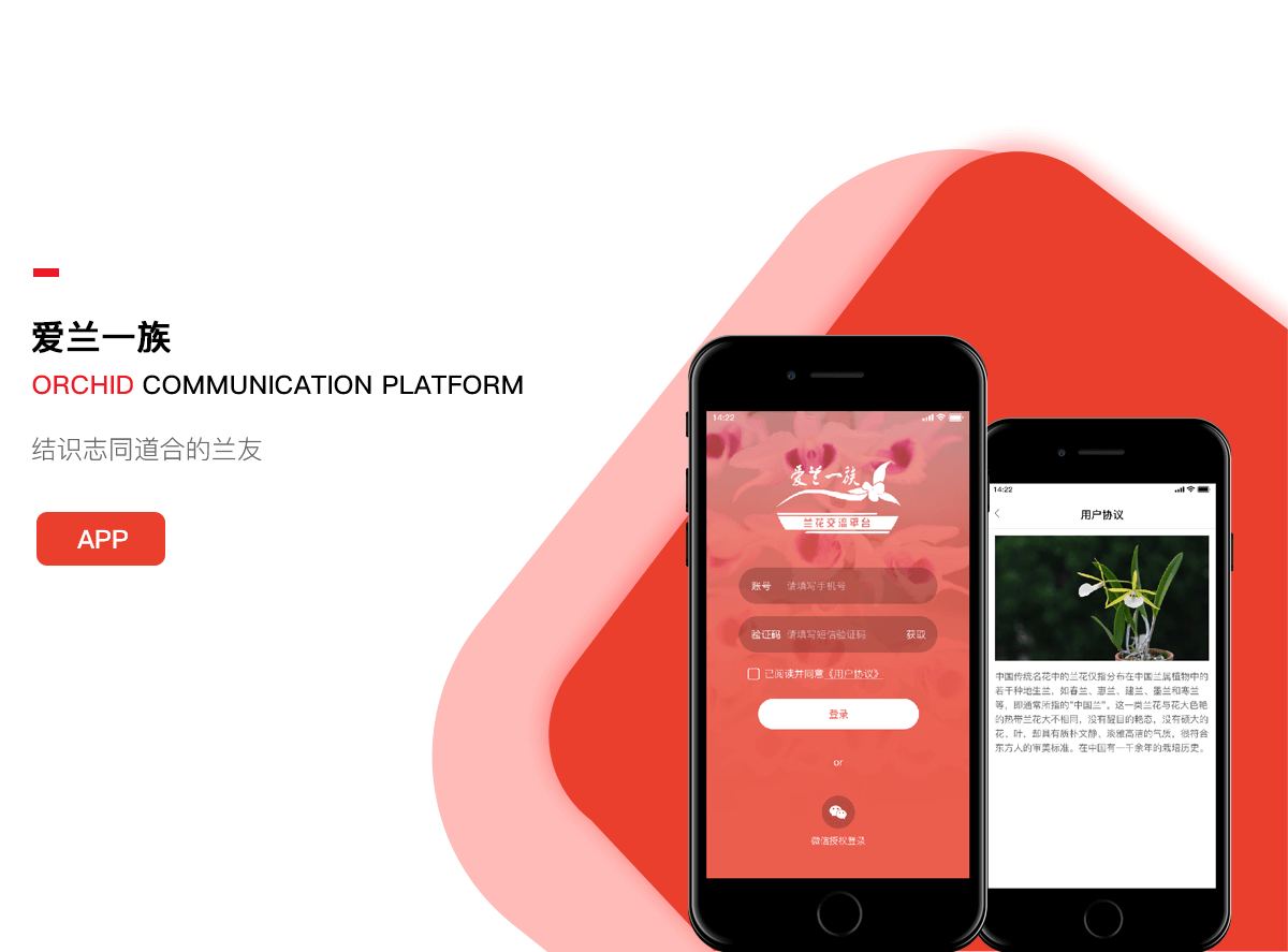 爱兰交流详情1.png 成都App开发
